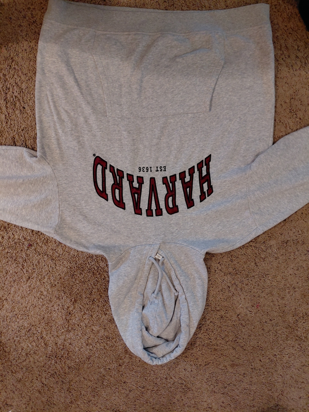 H&M Harvard University Hooded Sweatshirt Size M